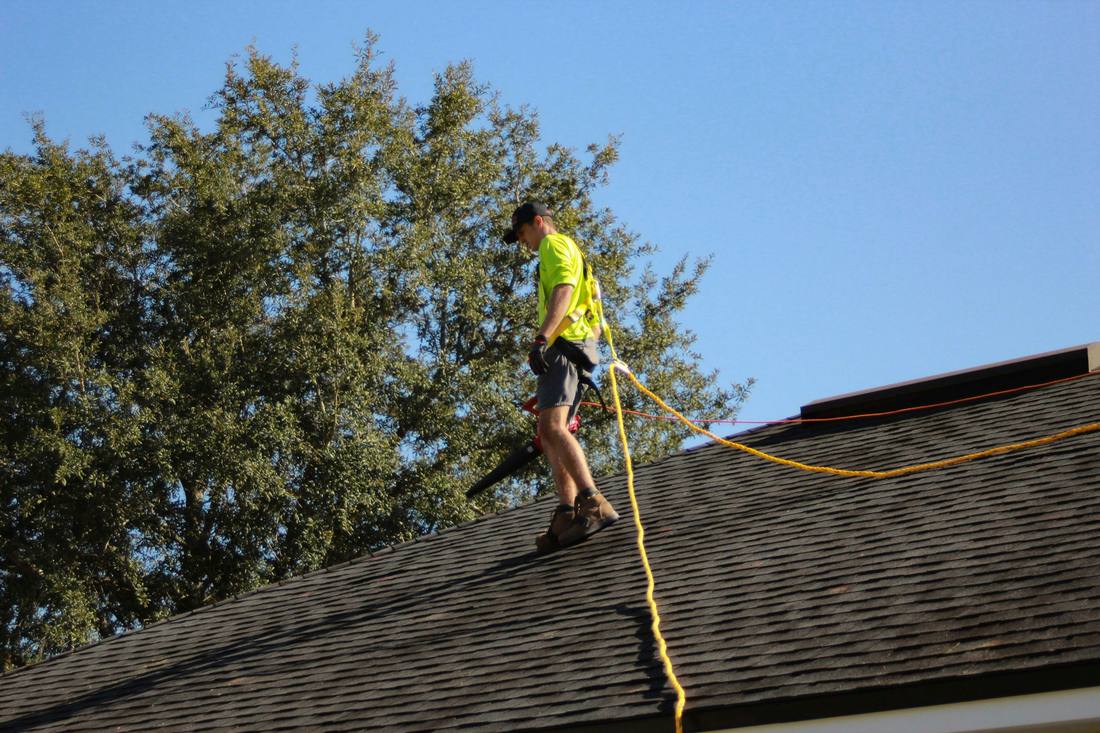 Harnessed roofer clearing shingles beside a large oak tree
