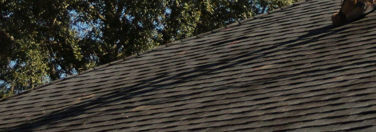 New dark architectural shingles in evening light
